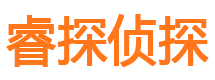 南岸调查事务所